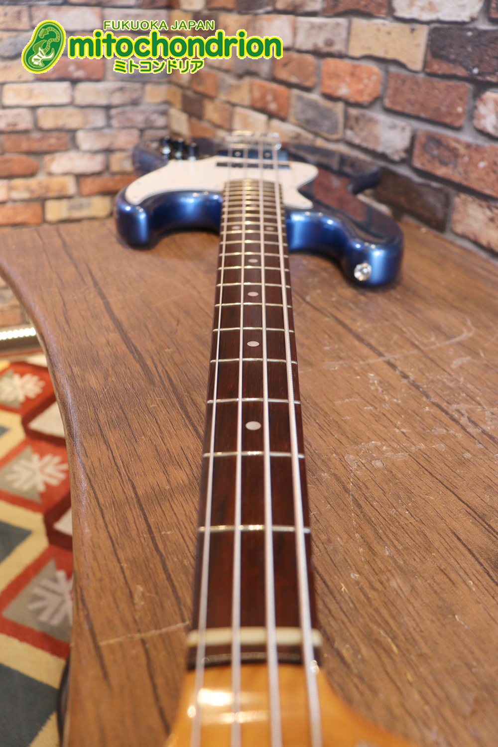 スパロゴ期のTokaiです！