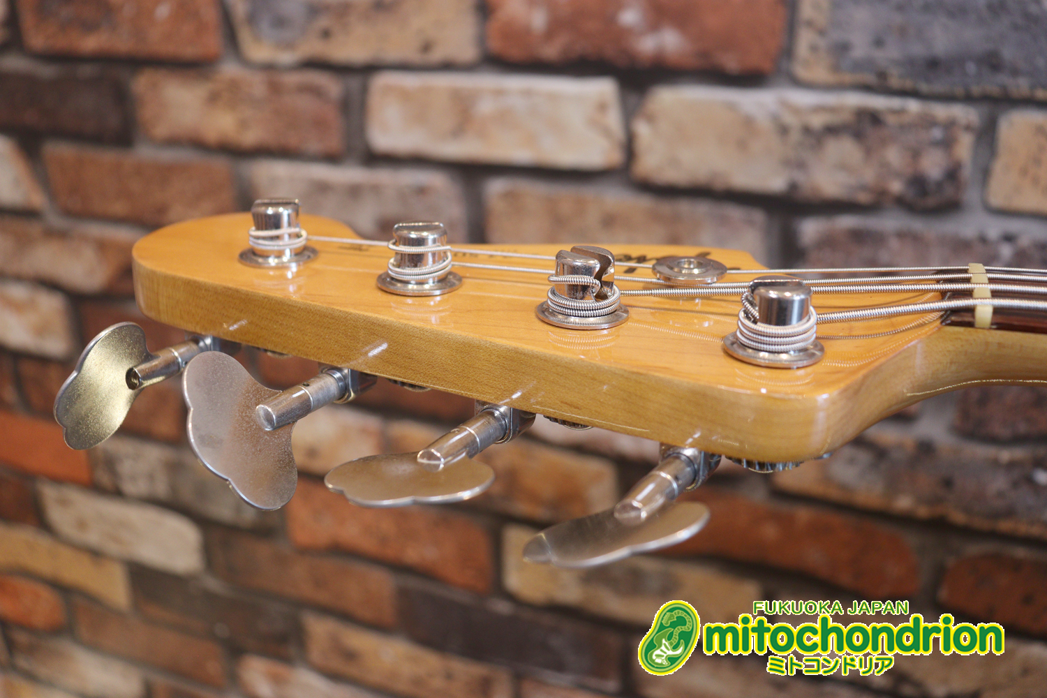 スパロゴ期のTokaiです！