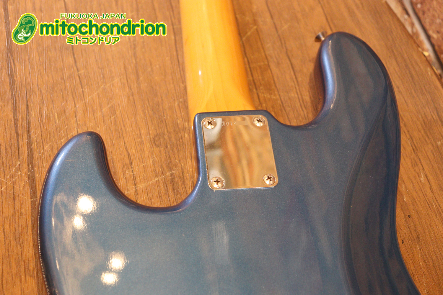 スパロゴ期のTokaiです！