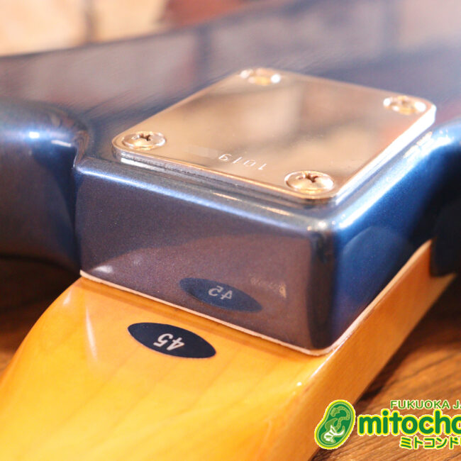 スパロゴ期のTokaiです！