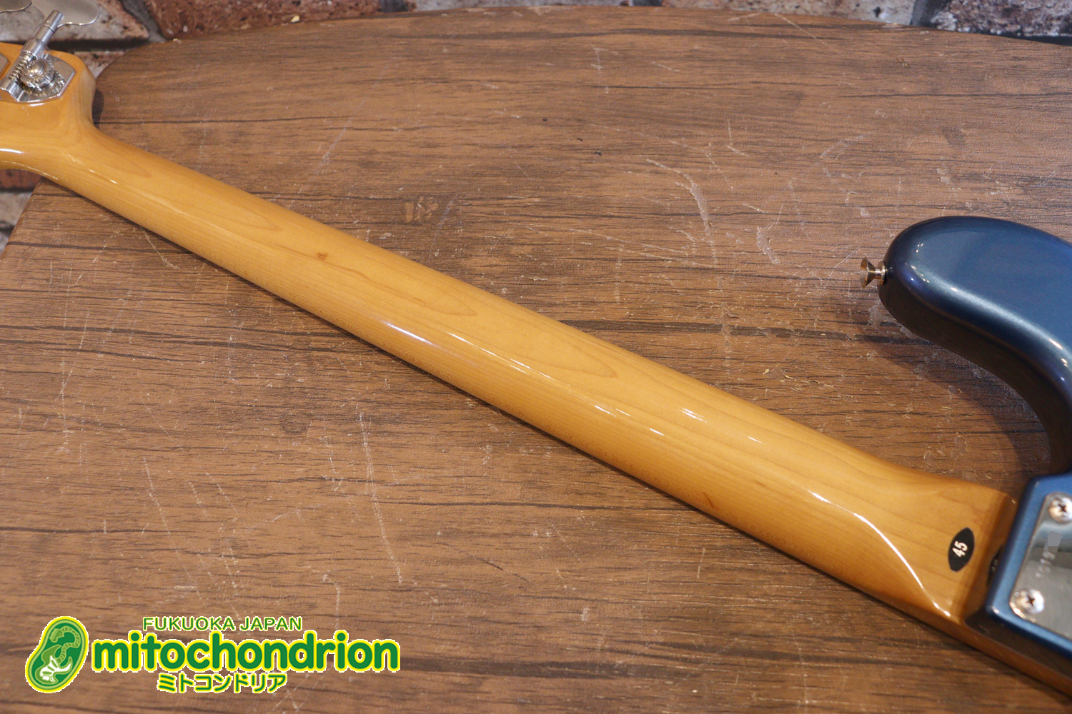 スパロゴ期のTokaiです！