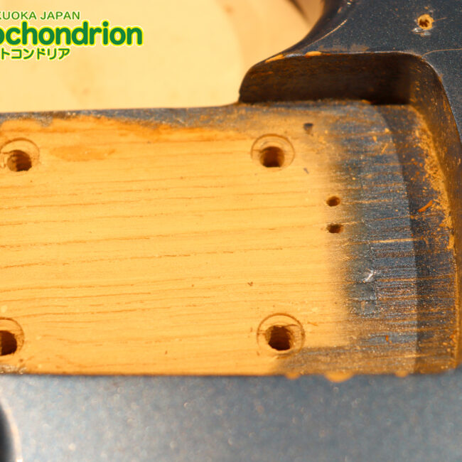 スパロゴ期のTokaiです！