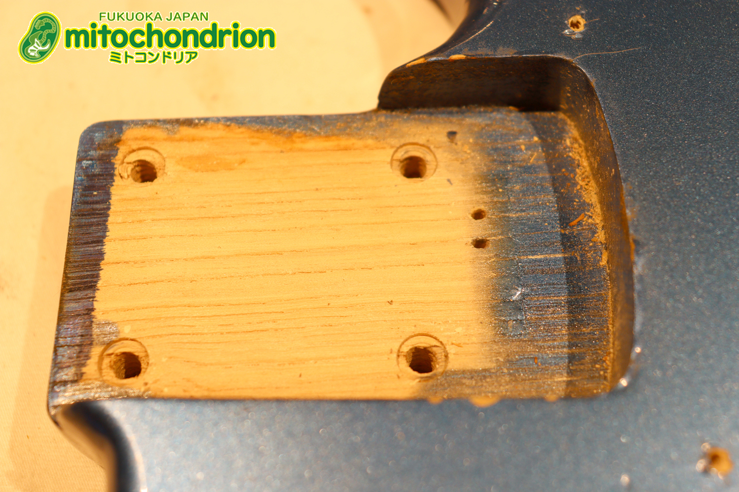 スパロゴ期のTokaiです！