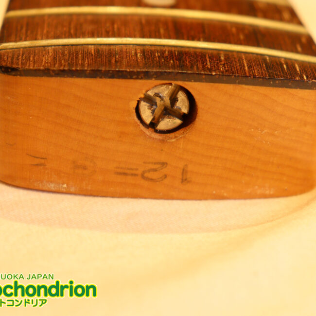 スパロゴ期のTokaiです！