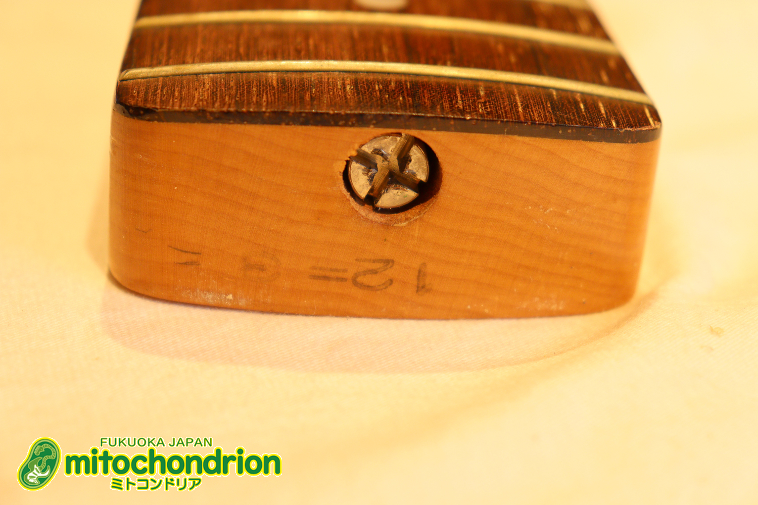 スパロゴ期のTokaiです！