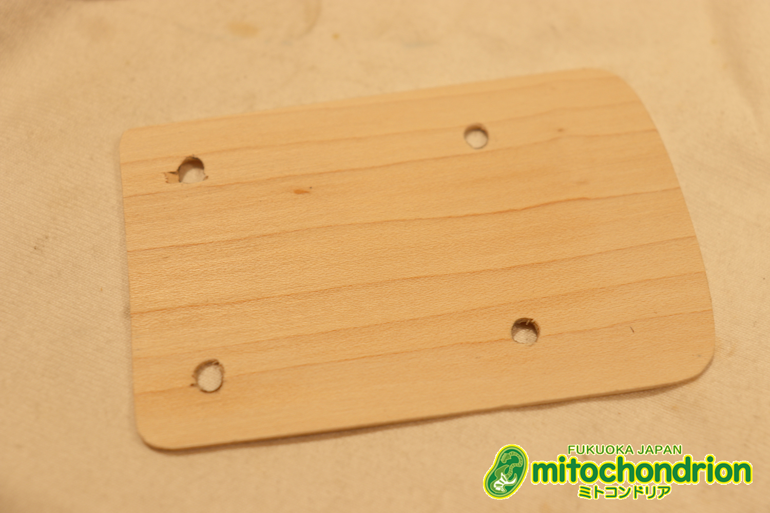 スパロゴ期のTokaiです！