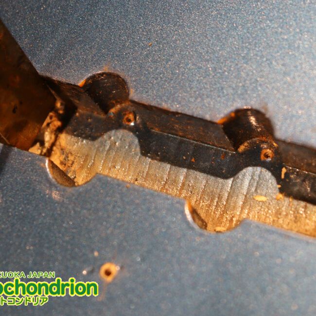 スパロゴ期のTokaiです！