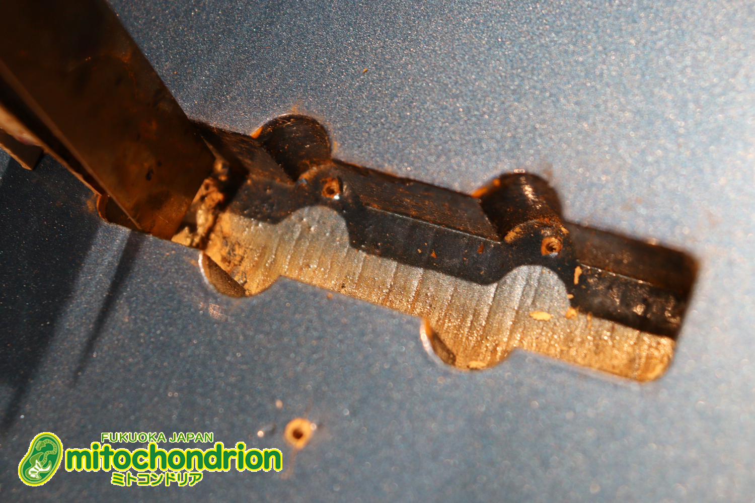 スパロゴ期のTokaiです！