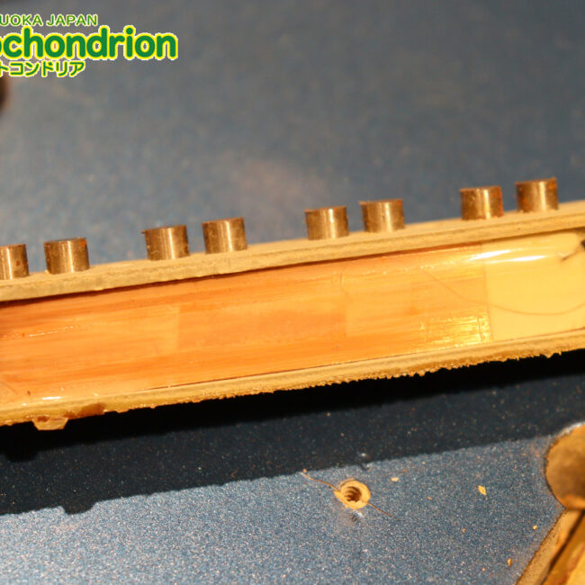 スパロゴ期のTokaiです！