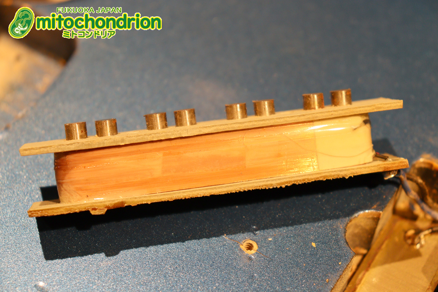 スパロゴ期のTokaiです！