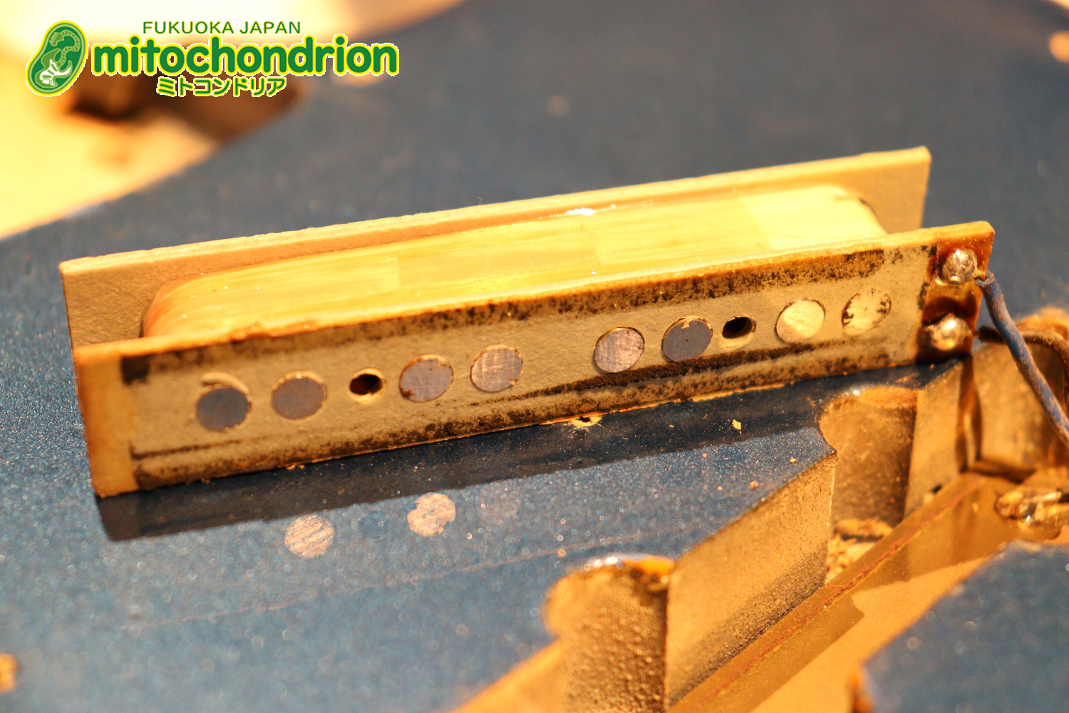 スパロゴ期のTokaiです！