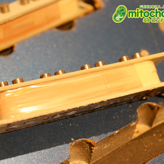 スパロゴ期のTokaiです！