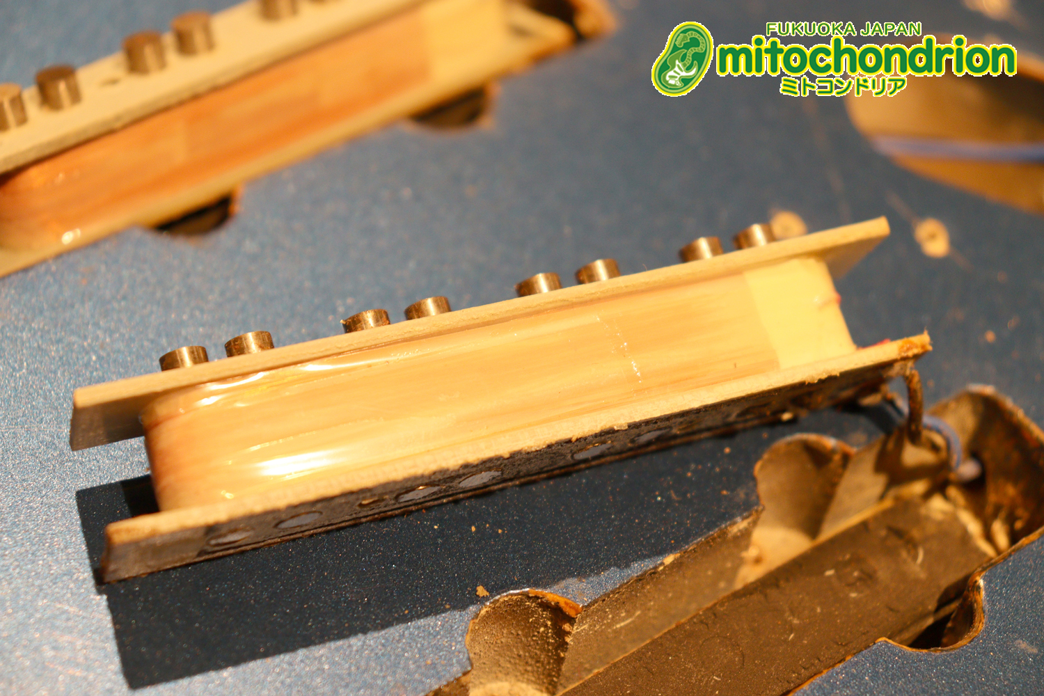 スパロゴ期のTokaiです！