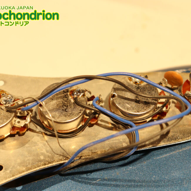 スパロゴ期のTokaiです！