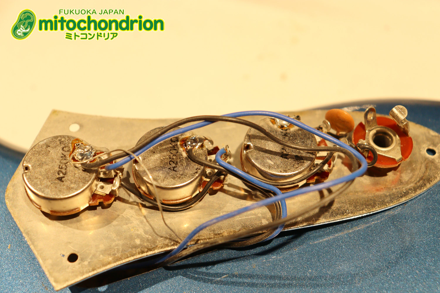 スパロゴ期のTokaiです！