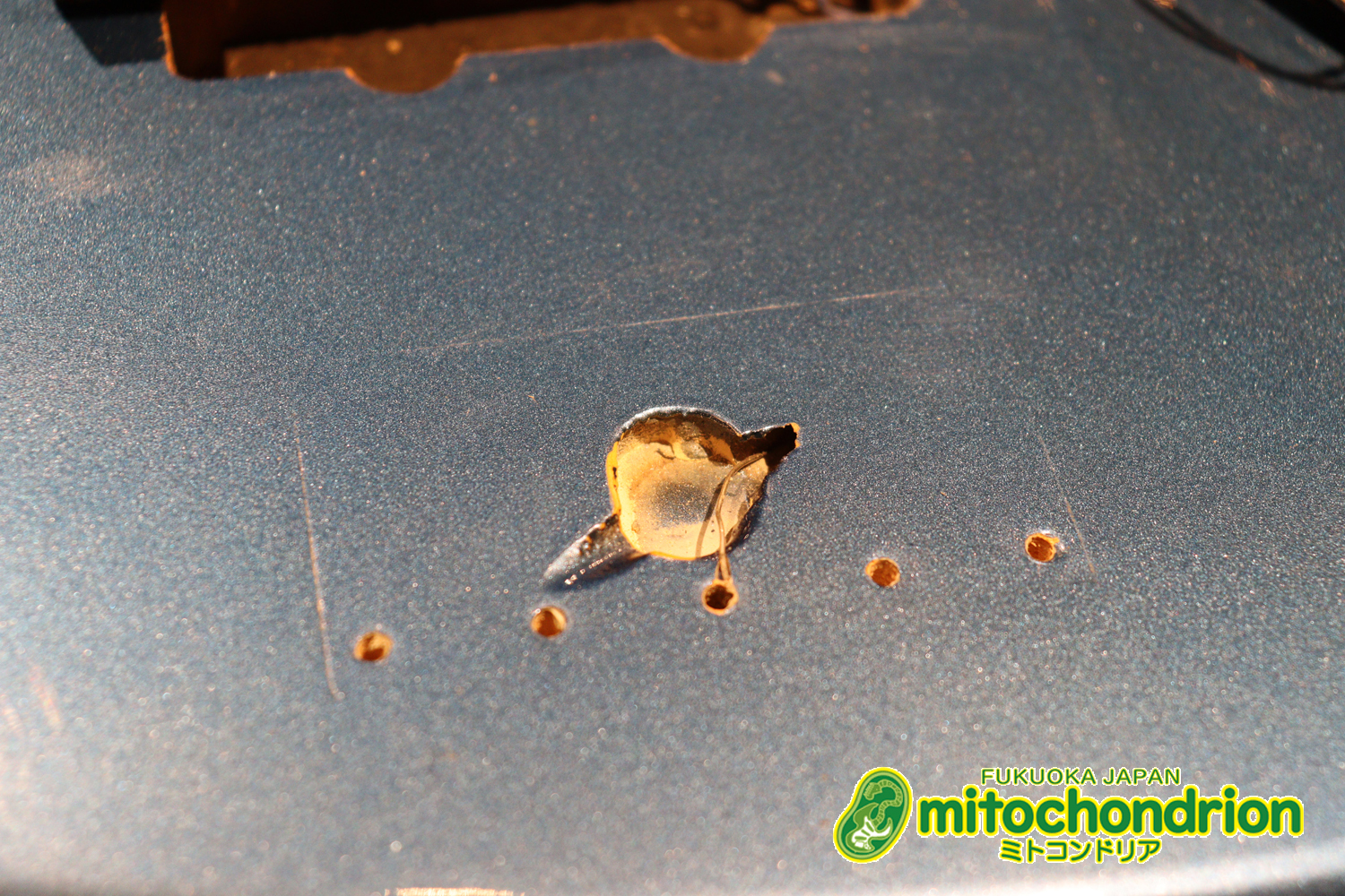 スパロゴ期のTokaiです！