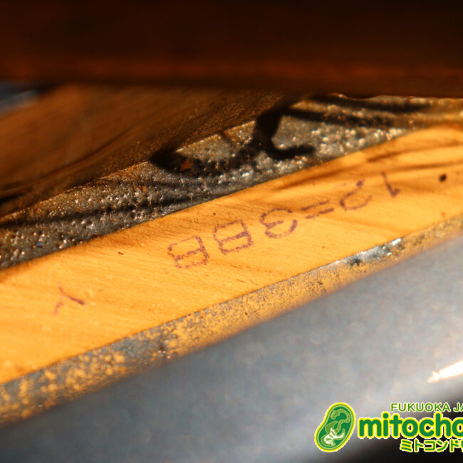 スパロゴ期のTokaiです！