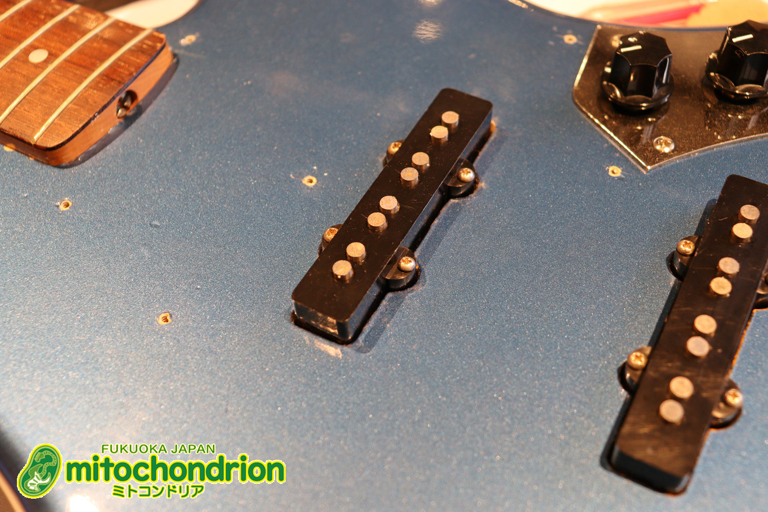 スパロゴ期のTokaiです！