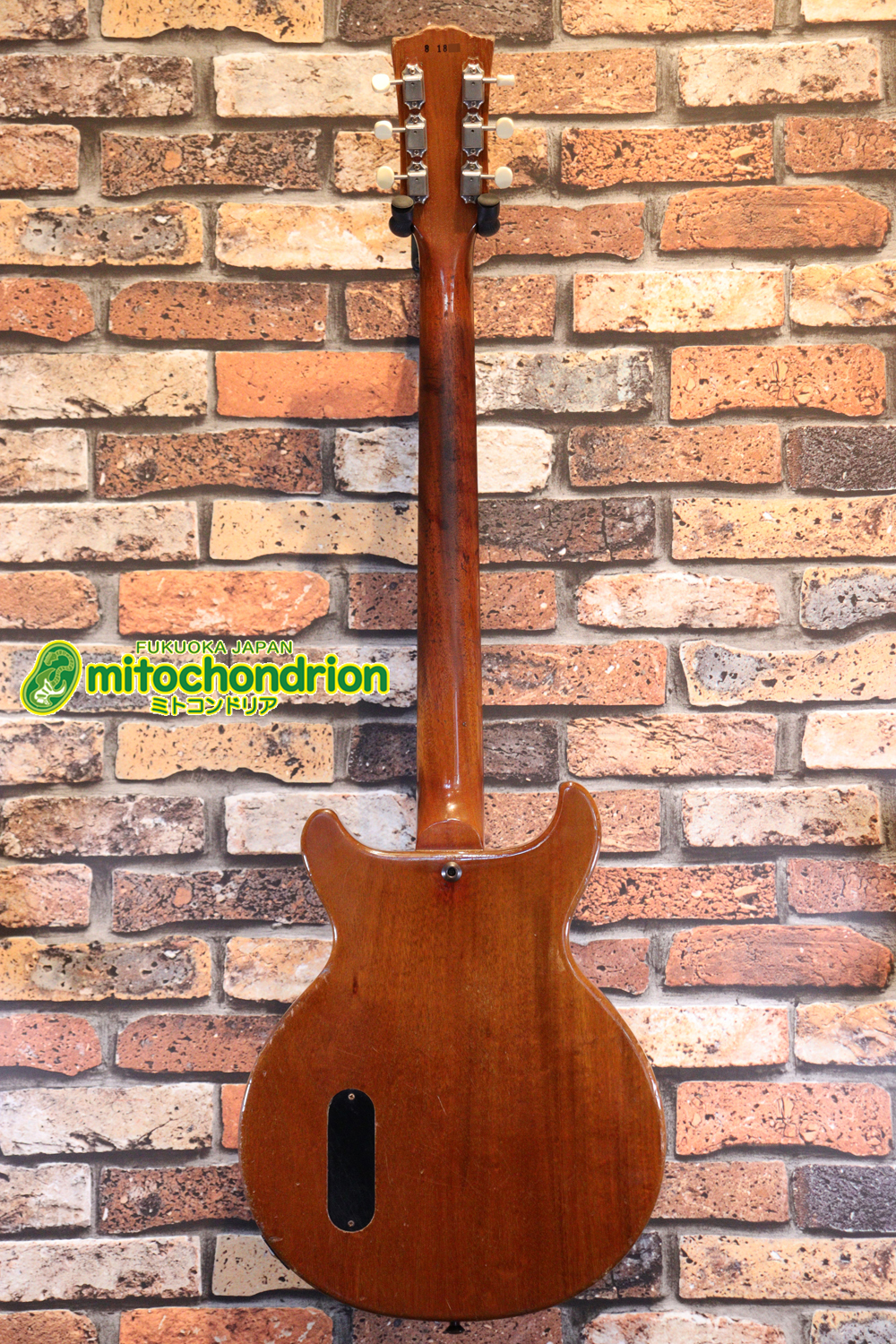 プレイヤーズコンディションのレスポールジュニア、ダブルカッタウェイ！