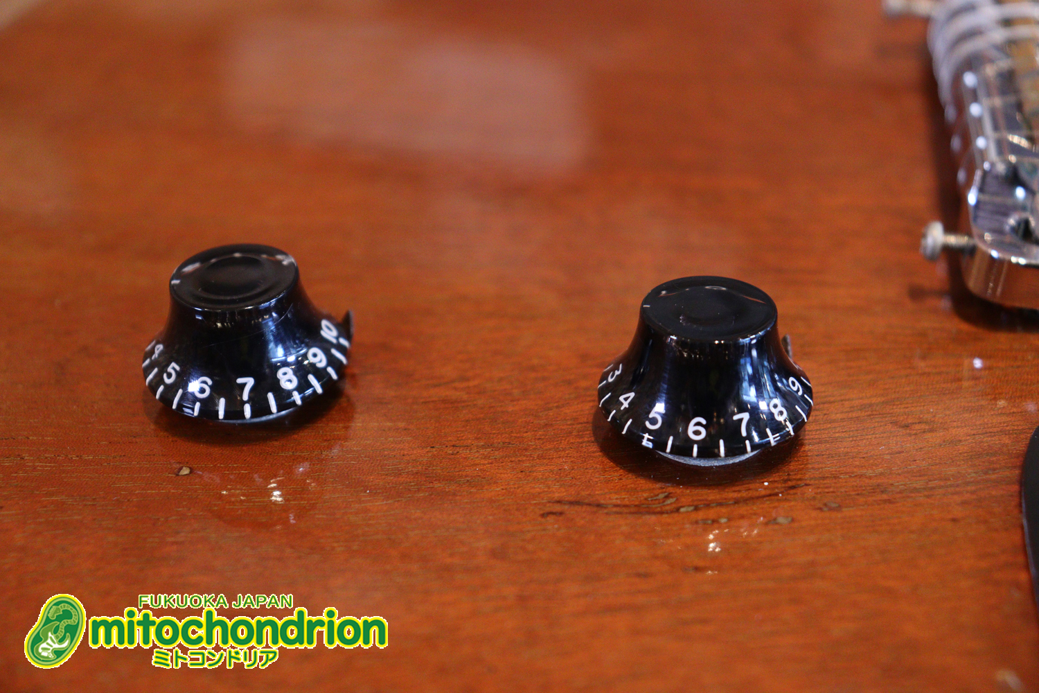 プレイヤーズコンディションのレスポールジュニア、ダブルカッタウェイ！