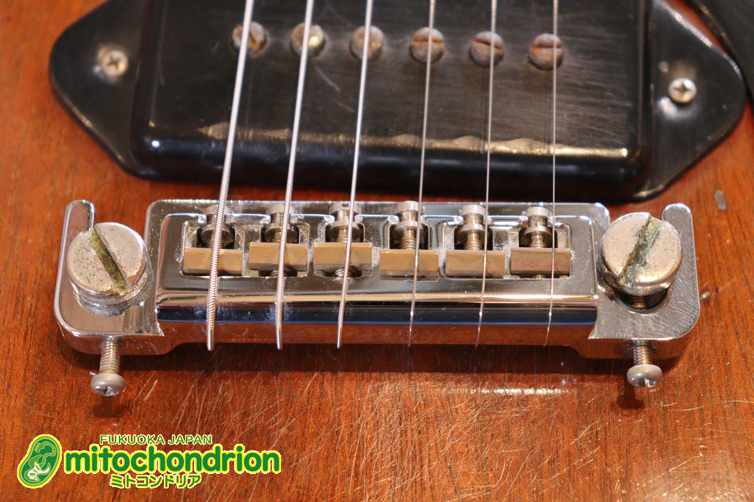 プレイヤーズコンディションのレスポールジュニア、ダブルカッタウェイ！