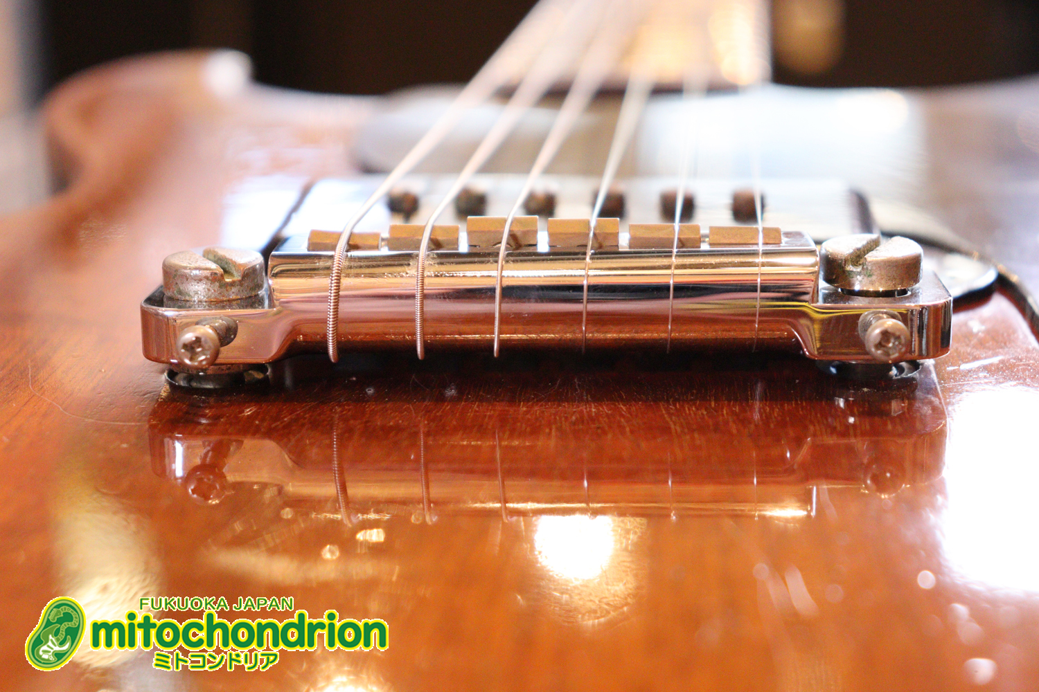 プレイヤーズコンディションのレスポールジュニア、ダブルカッタウェイ！