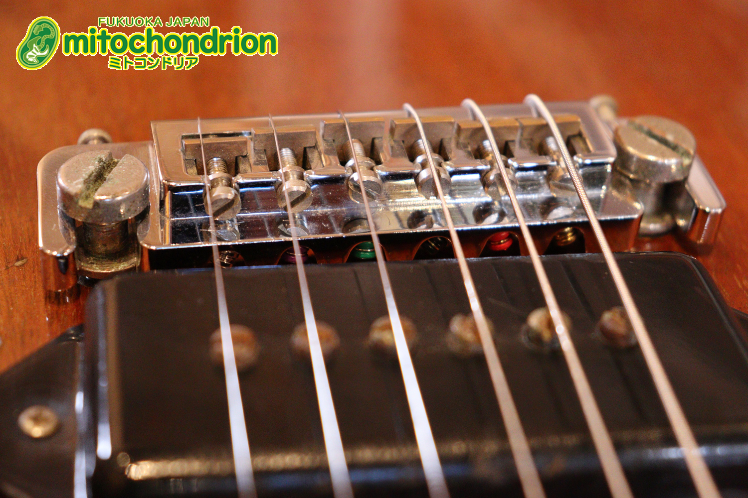 プレイヤーズコンディションのレスポールジュニア、ダブルカッタウェイ！