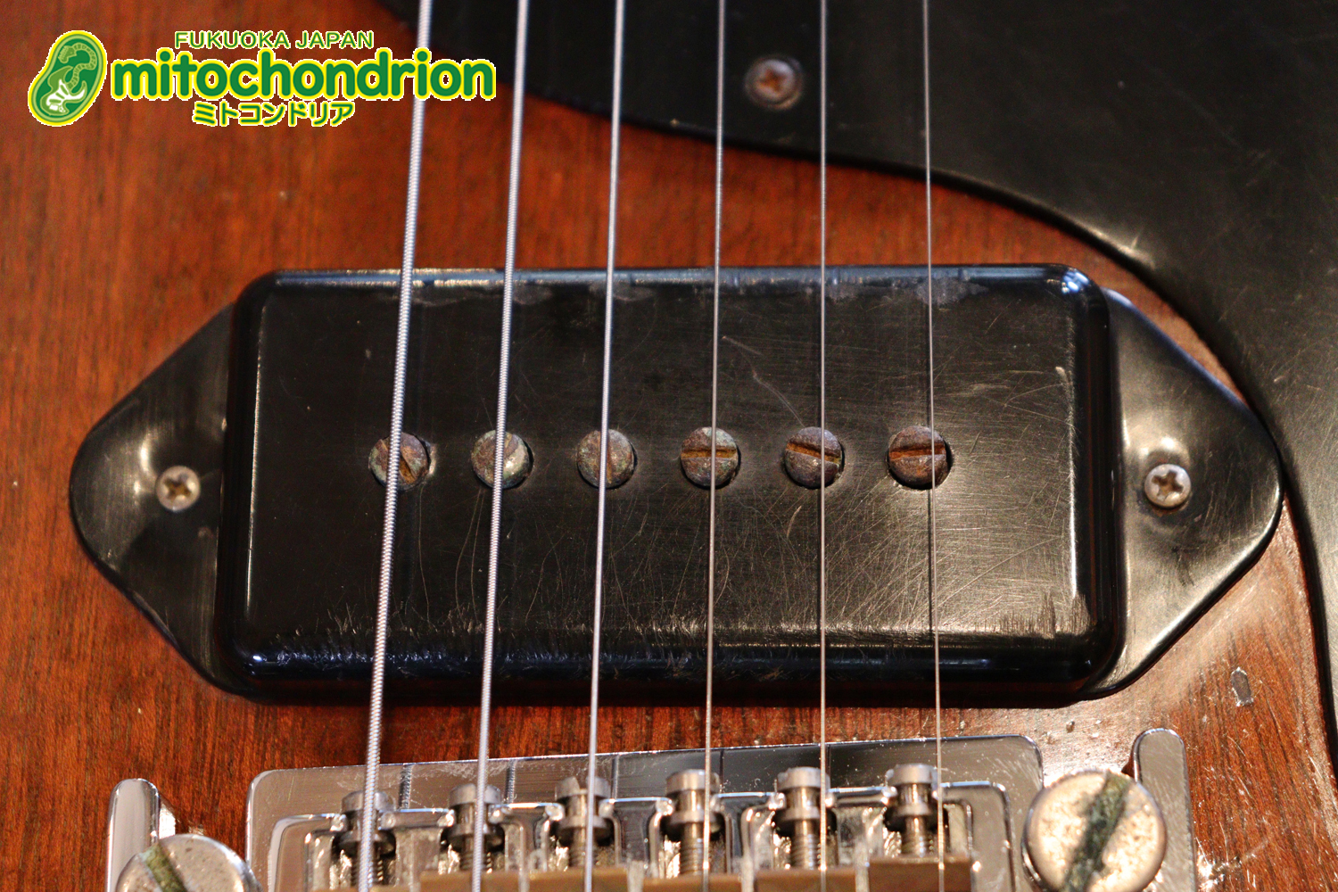 プレイヤーズコンディションのレスポールジュニア、ダブルカッタウェイ！