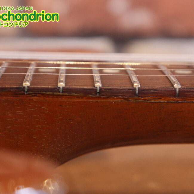 プレイヤーズコンディションのレスポールジュニア、ダブルカッタウェイ！