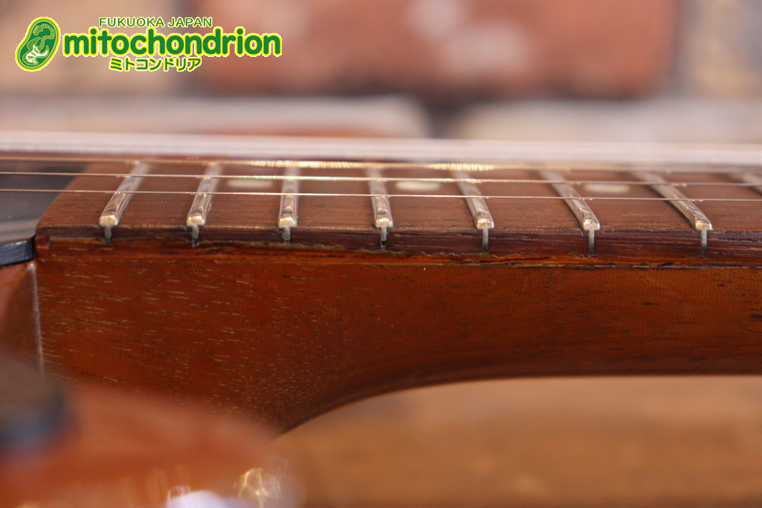 プレイヤーズコンディションのレスポールジュニア、ダブルカッタウェイ！