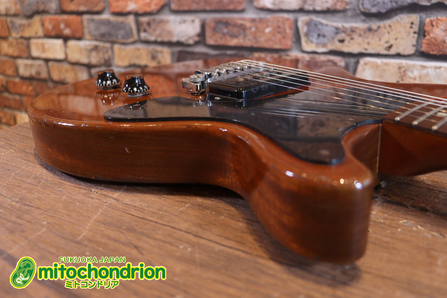 プレイヤーズコンディションのレスポールジュニア、ダブルカッタウェイ！