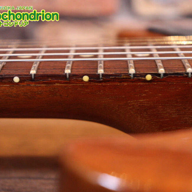 プレイヤーズコンディションのレスポールジュニア、ダブルカッタウェイ！