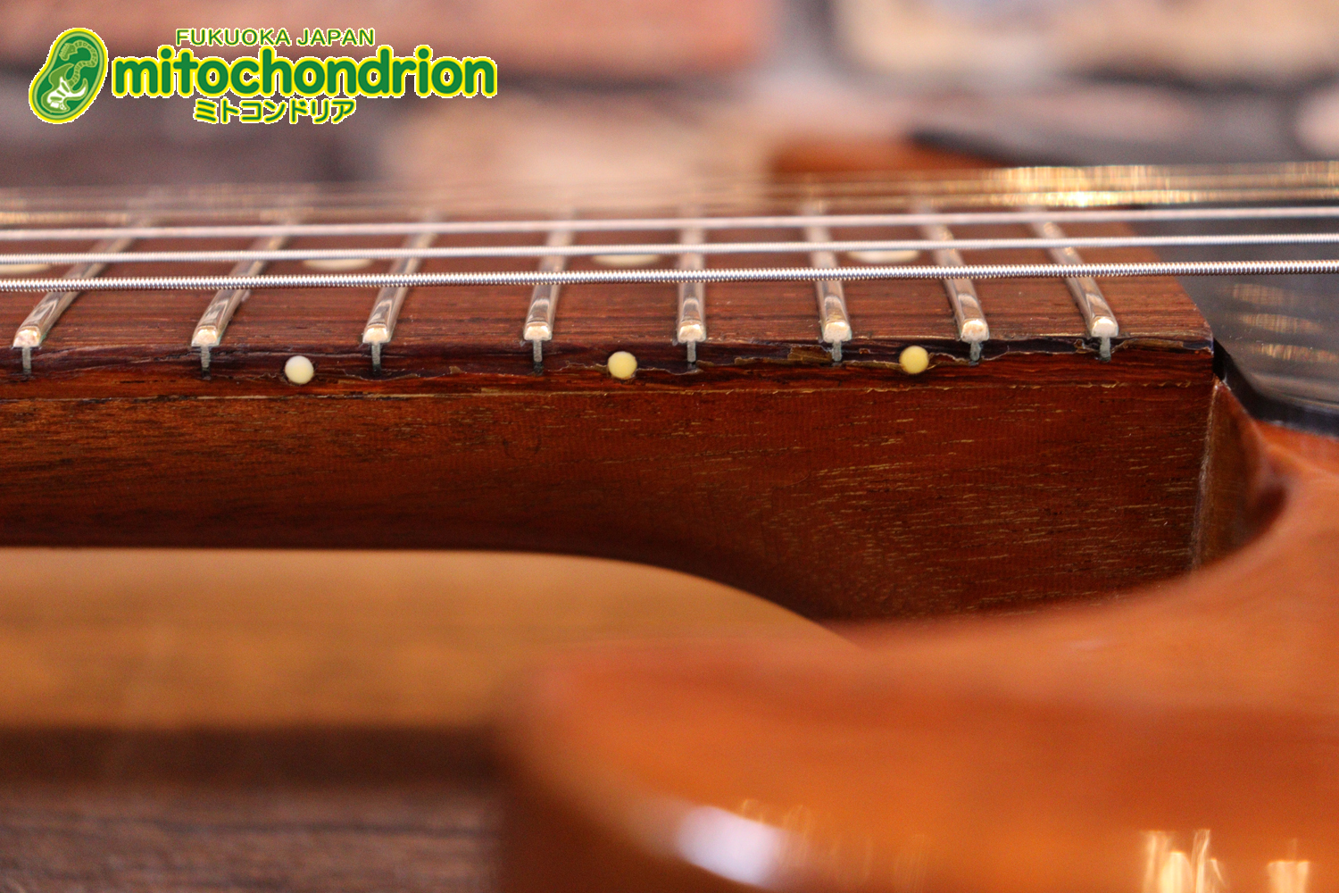 プレイヤーズコンディションのレスポールジュニア、ダブルカッタウェイ！