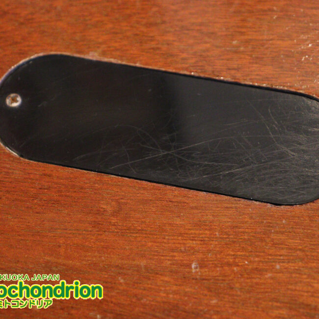 プレイヤーズコンディションのレスポールジュニア、ダブルカッタウェイ！