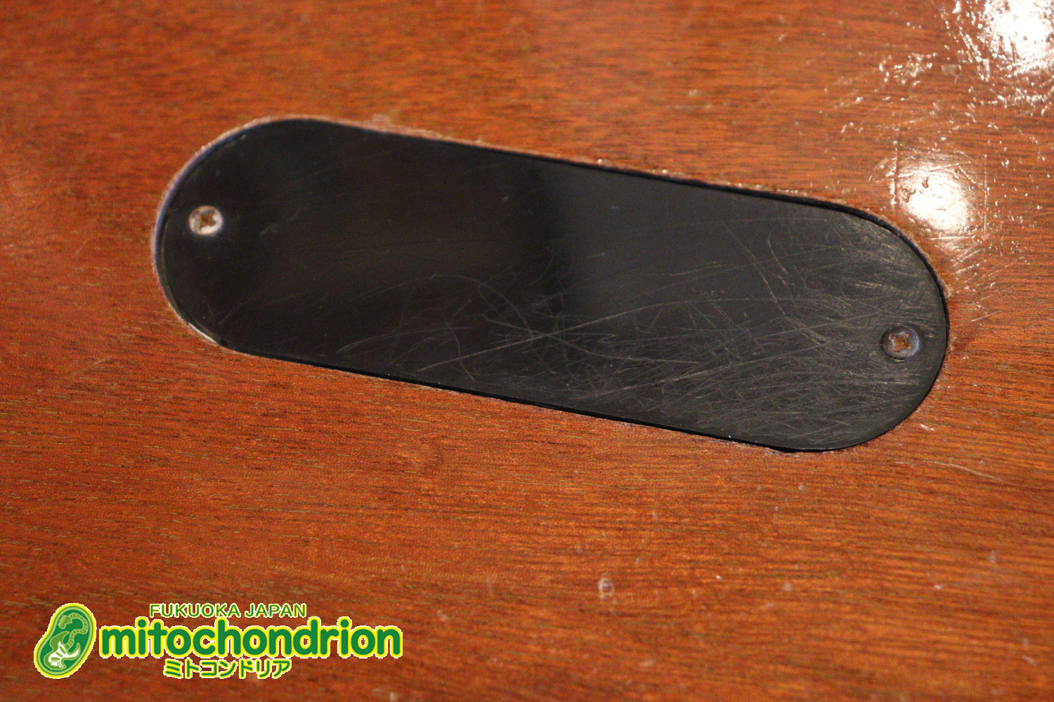 プレイヤーズコンディションのレスポールジュニア、ダブルカッタウェイ！