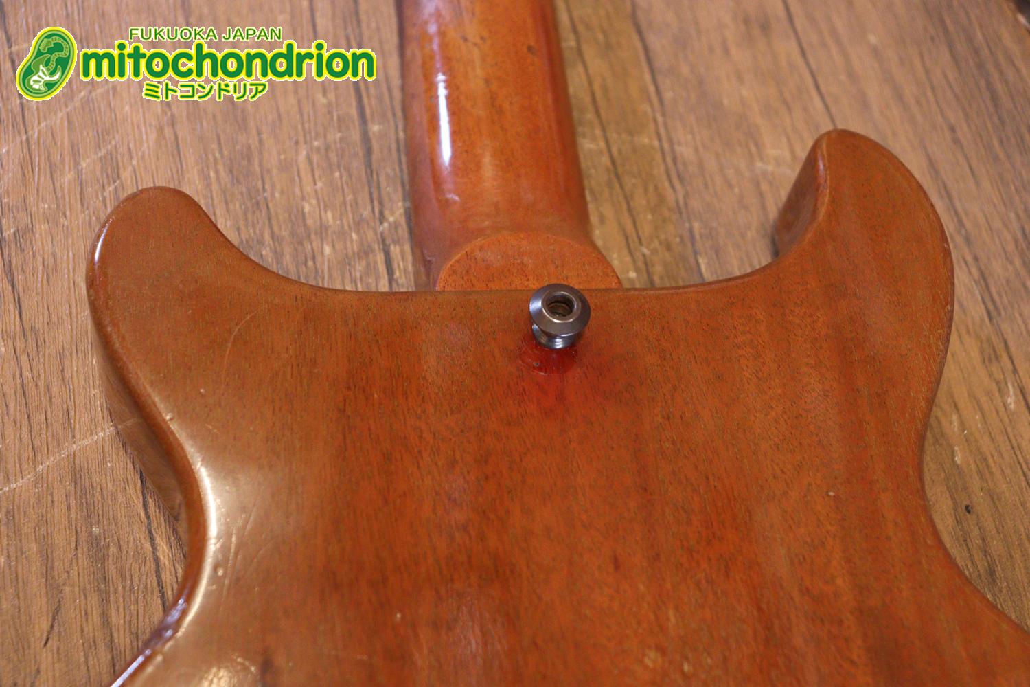 プレイヤーズコンディションのレスポールジュニア、ダブルカッタウェイ！