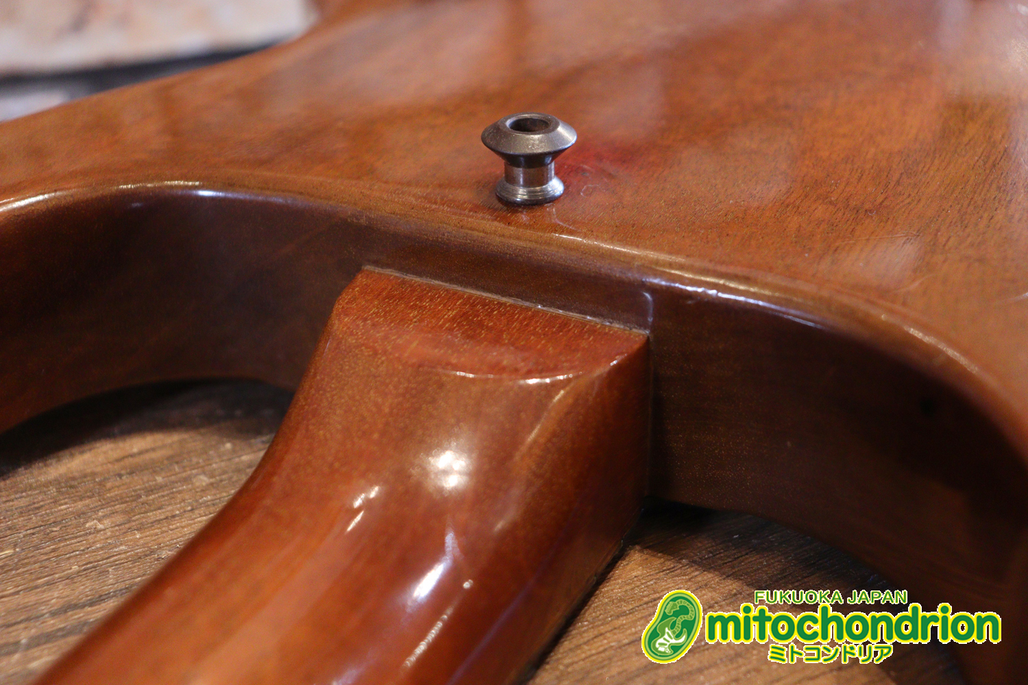 プレイヤーズコンディションのレスポールジュニア、ダブルカッタウェイ！