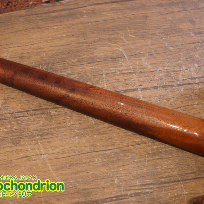 プレイヤーズコンディションのレスポールジュニア、ダブルカッタウェイ！