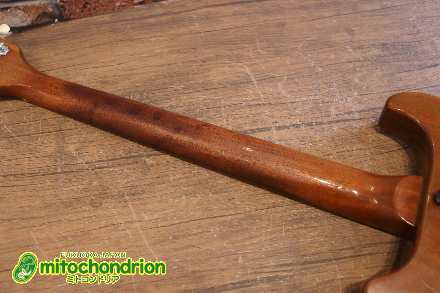 プレイヤーズコンディションのレスポールジュニア、ダブルカッタウェイ！