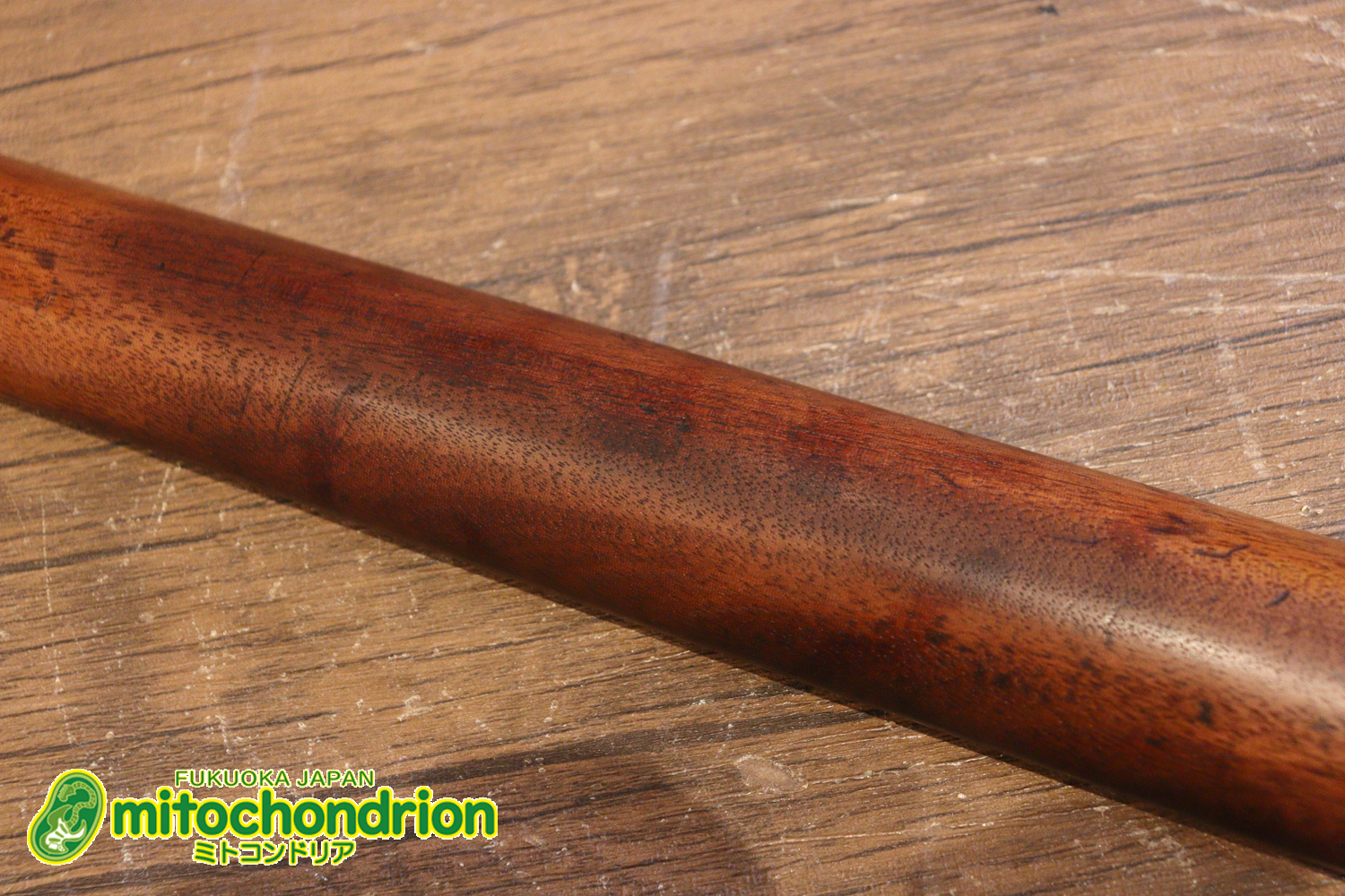 プレイヤーズコンディションのレスポールジュニア、ダブルカッタウェイ！