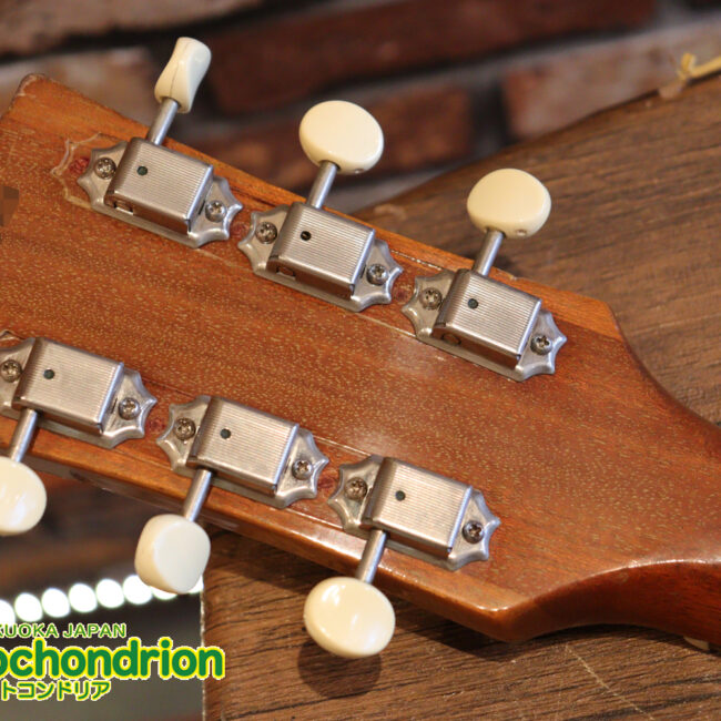 プレイヤーズコンディションのレスポールジュニア、ダブルカッタウェイ！