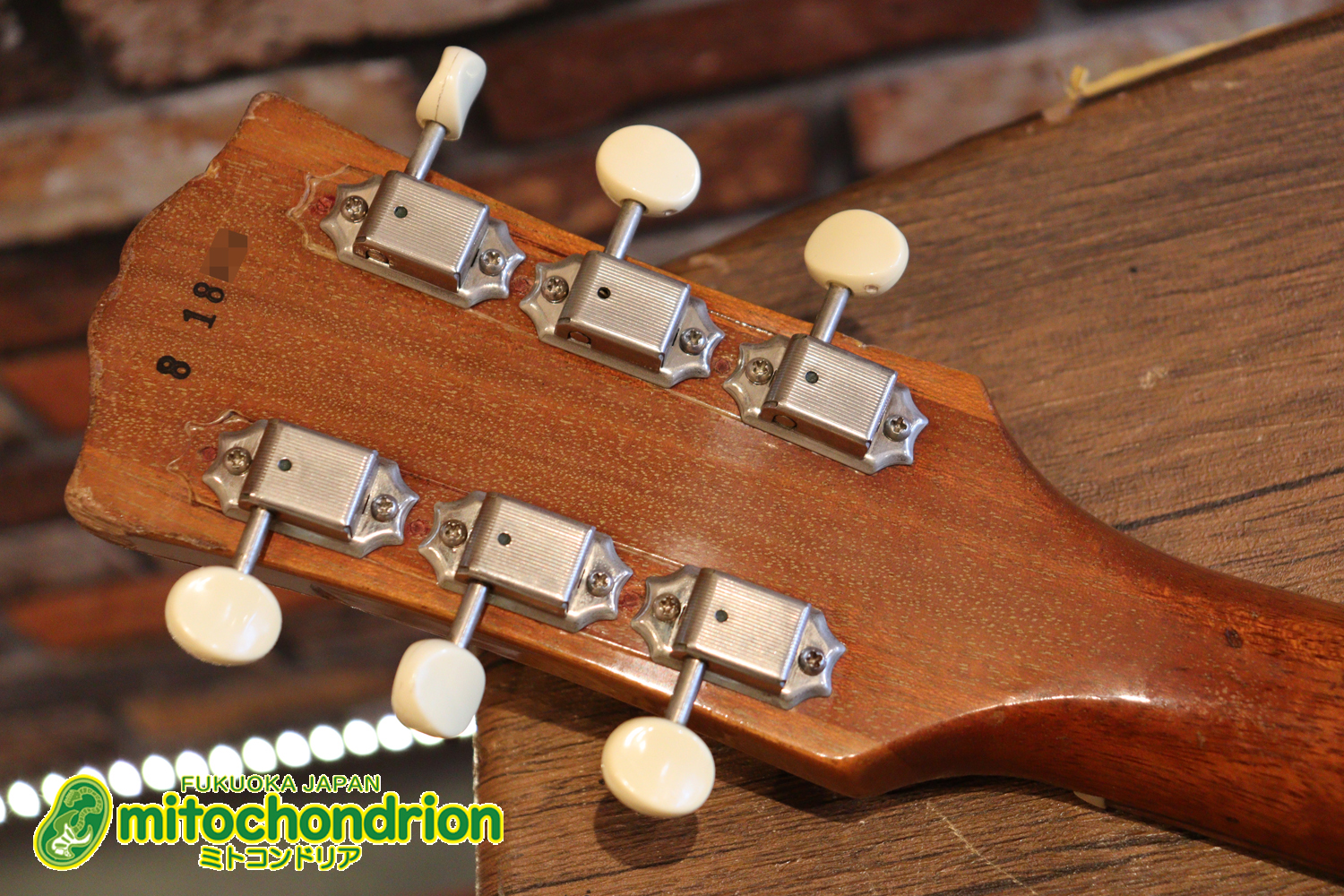 プレイヤーズコンディションのレスポールジュニア、ダブルカッタウェイ！