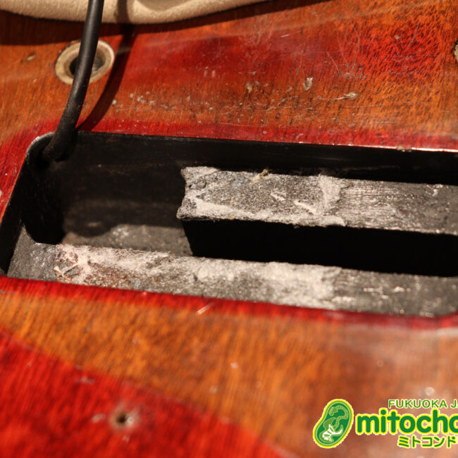 プレイヤーズコンディションのレスポールジュニア、ダブルカッタウェイ！