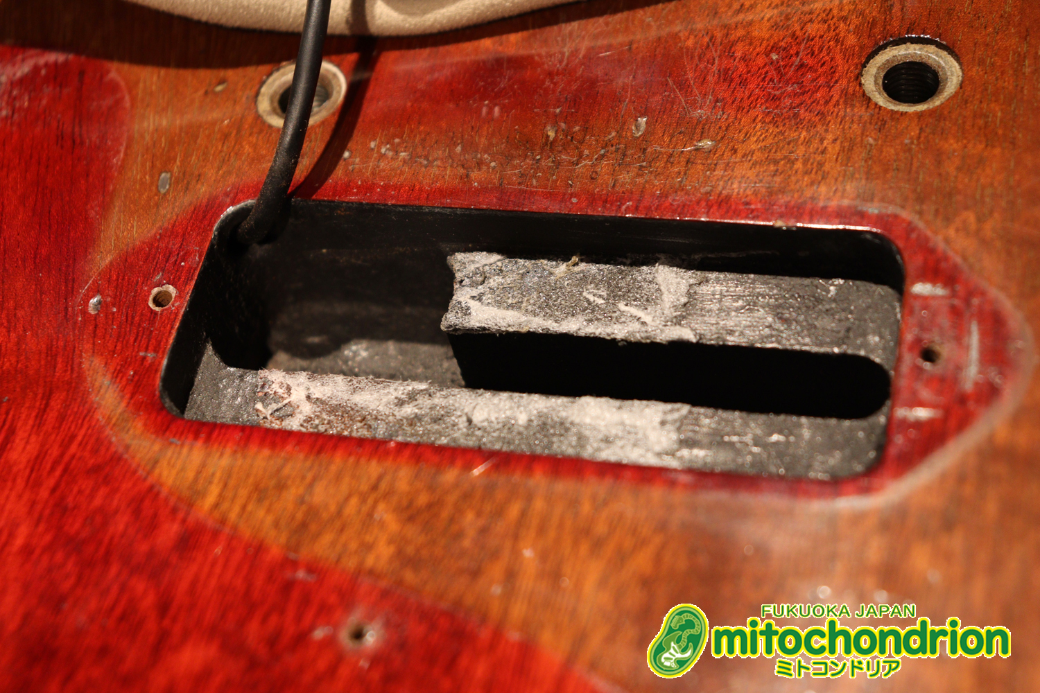 プレイヤーズコンディションのレスポールジュニア、ダブルカッタウェイ！