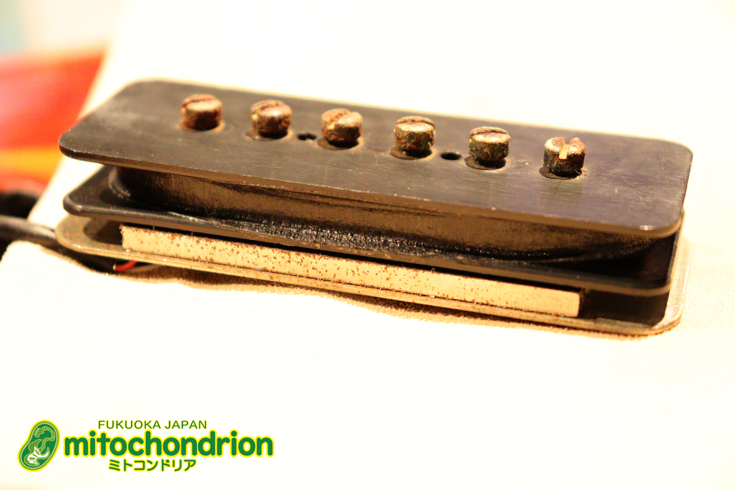 プレイヤーズコンディションのレスポールジュニア、ダブルカッタウェイ！