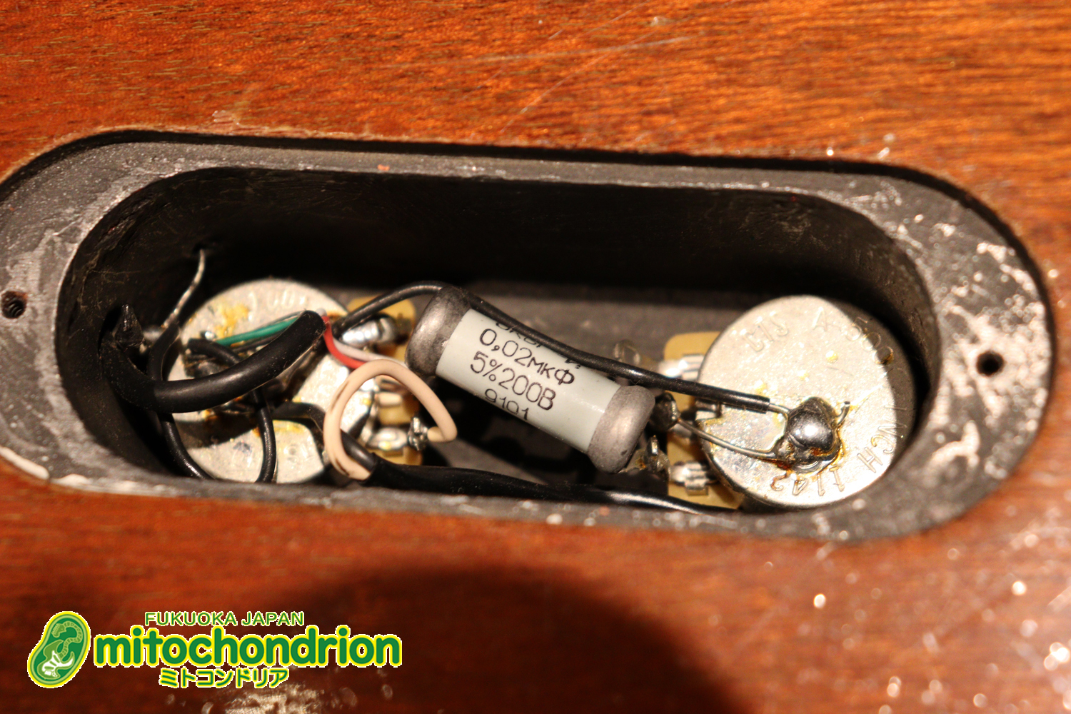 プレイヤーズコンディションのレスポールジュニア、ダブルカッタウェイ！