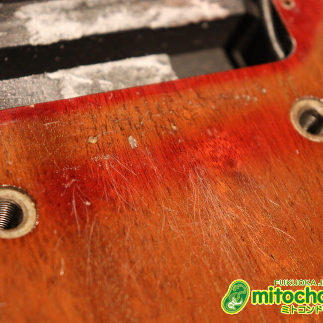 プレイヤーズコンディションのレスポールジュニア、ダブルカッタウェイ！