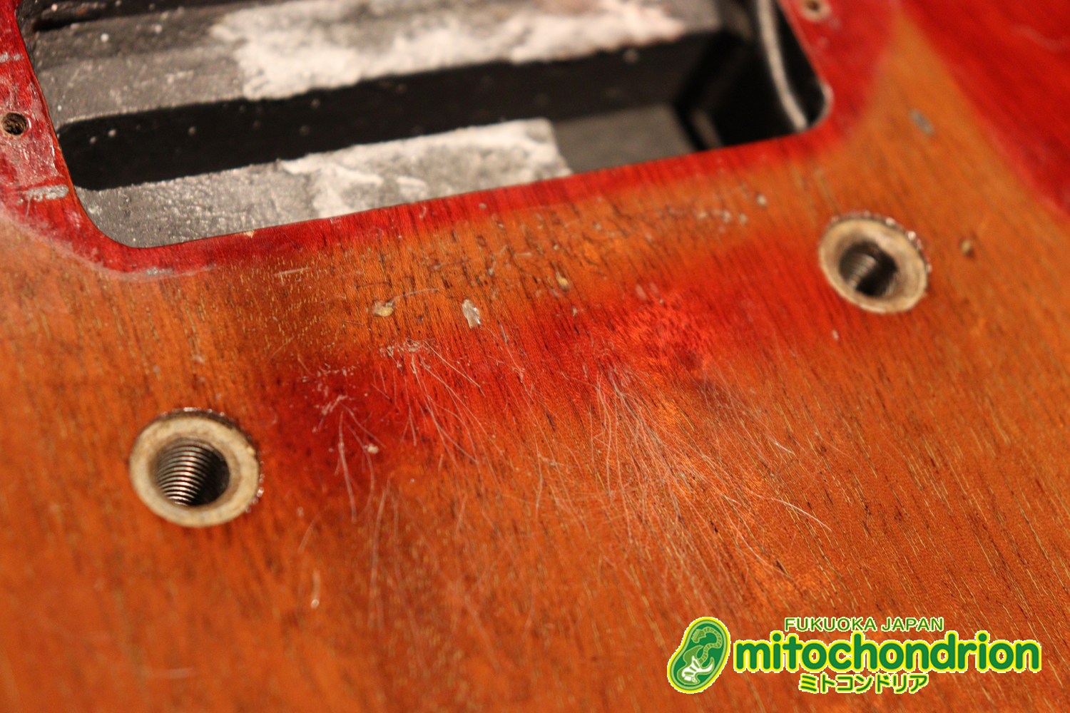 プレイヤーズコンディションのレスポールジュニア、ダブルカッタウェイ！