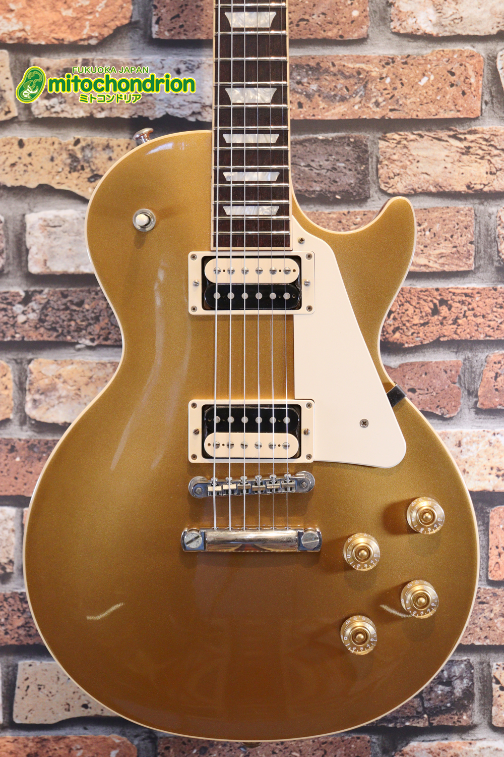 ゼブラビックアップを2基搭載したレスポールクラシックです！