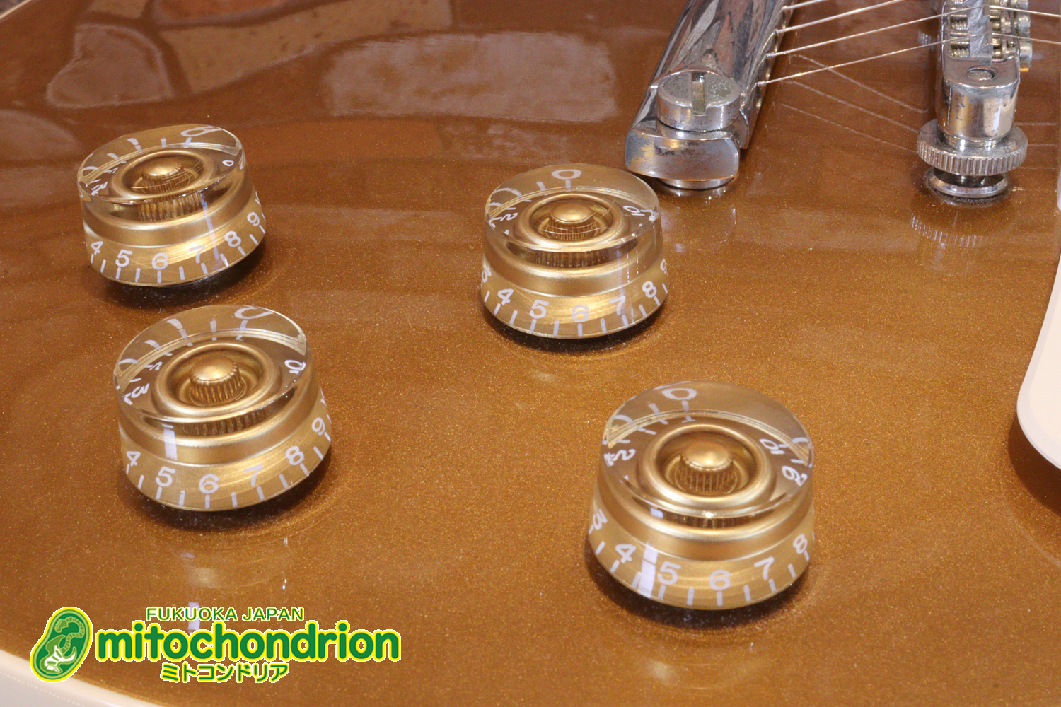 ゼブラビックアップを2基搭載したレスポールクラシックです！